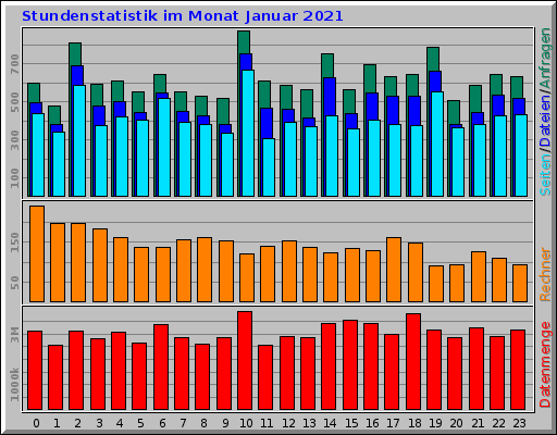 Stundenstatistik im Monat Januar 2021 Stundenstatistik im Monat Januar 2021