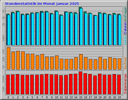 Stundenstatistik im Monat Januar 2025