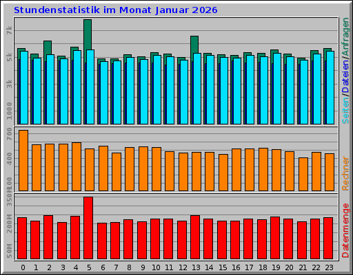 Stundenstatistik im Monat Januar 2026